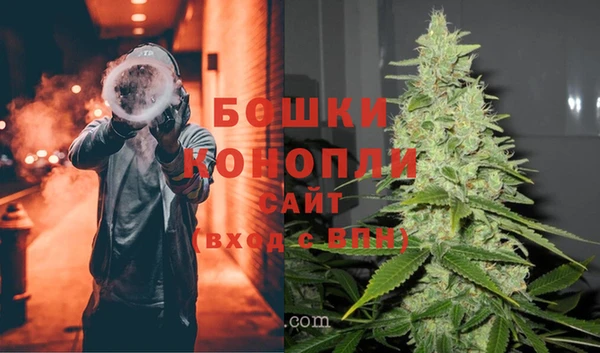 СК Аркадак