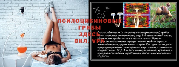 мдпв Арсеньев